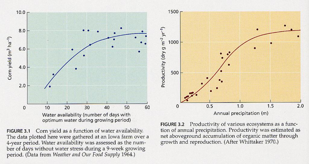 Závislost výnosu kukuřice na dostupnosti vody Závislost produkce biomasy