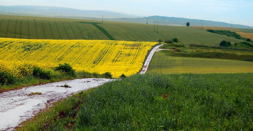 Environmentální profil společnosti Společnost CEPS si uvědomuje, že svými činnostmi ovlivňuje stav životního prostředí.