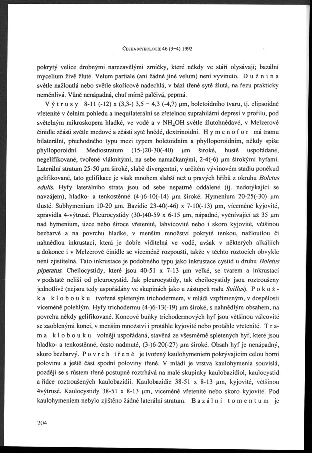 ČESKÁ MYKOLOGIE 46 (3 4) 1992 pokrytý velice drobnými narezavělými zrníčky, které někdy ve stáří olysávají; bazální mycelium živě žluté. Velům partiale (ani žádné jiné velům) není vyvinuto.