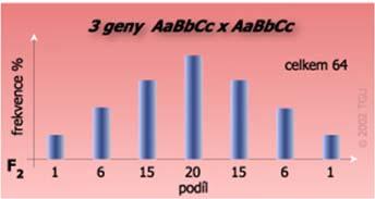 Alela A = 4 jednotky B = 2 jednotky