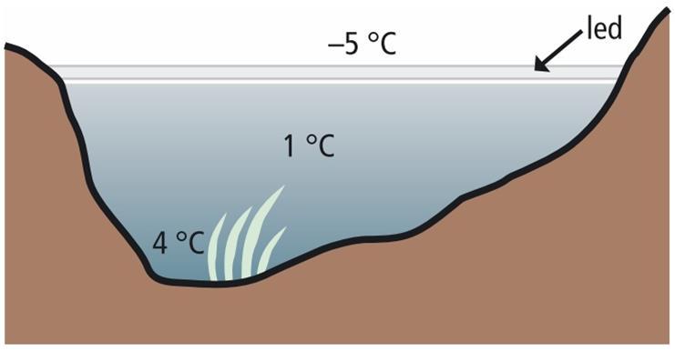 Vysvětlení: Led má menší hustotu než voda.