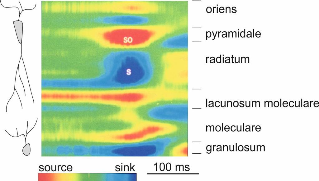 Sharp waves current source