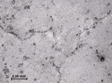 Struktura slitiny ŽS6W, vzorek VM1 (856,5 C/0MPa/085h), rozsah sigmatizace podle stupně 0. 6.