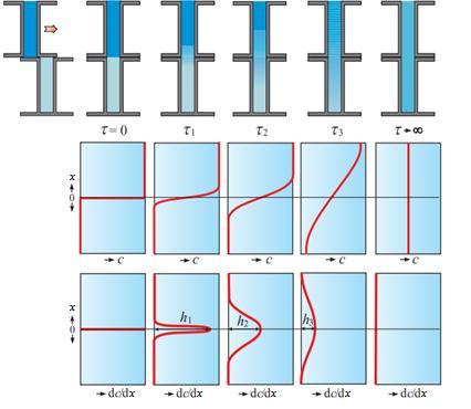 Hodnoty difúzních koeficientů u plynů jsou kolem 10 5 m 2 s 1. Ve vodném prostředí se difúzní koeficienty pohybují v rozmezí 10 9 aţ 10 11 m 2 s 1.