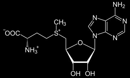 B-komplex (soubor vitamínů B): Působí jako koenzymy a donory -CH 3 v metabolismu methioninu -
