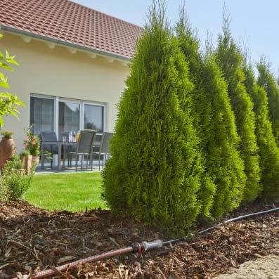 Tlak vyrovnávající kapače zajišťují rovnoměrný výdej vody po celé délce trubky; ideální pro zavlažování rostliny ve svahu.