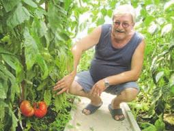 Kovačič Na vrtu je več sort paprik, za cvrtje, pečenje, solato... Miloš Milutinovič ima "pravo roko in srce" za vrt.