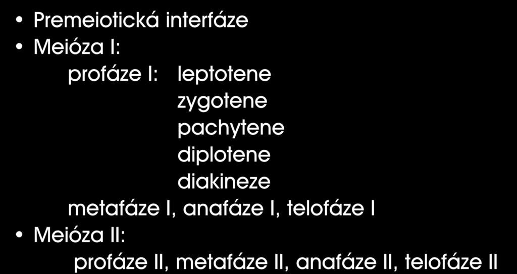 Stádia meiotického dělení Premeiotická interfáze Meióza I: profáze I: leptotene zygotene pachytene