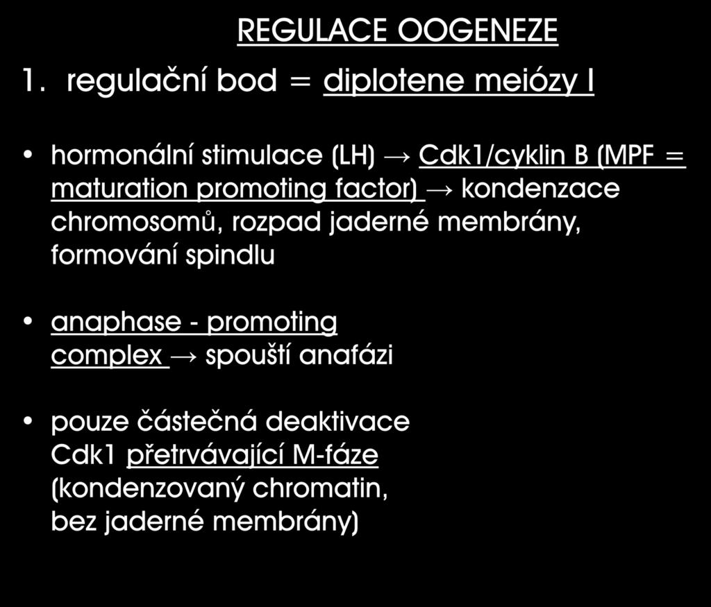 REGULACE OOGENEZE 1.