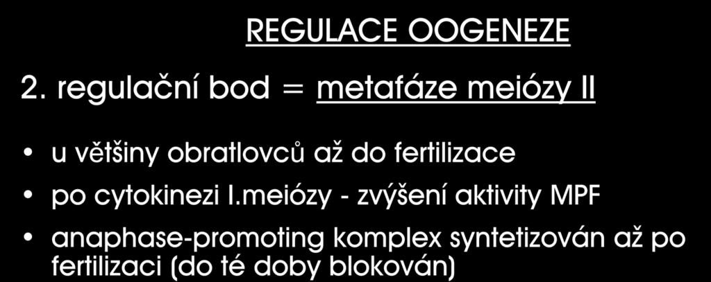 REGULACE OOGENEZE 2.