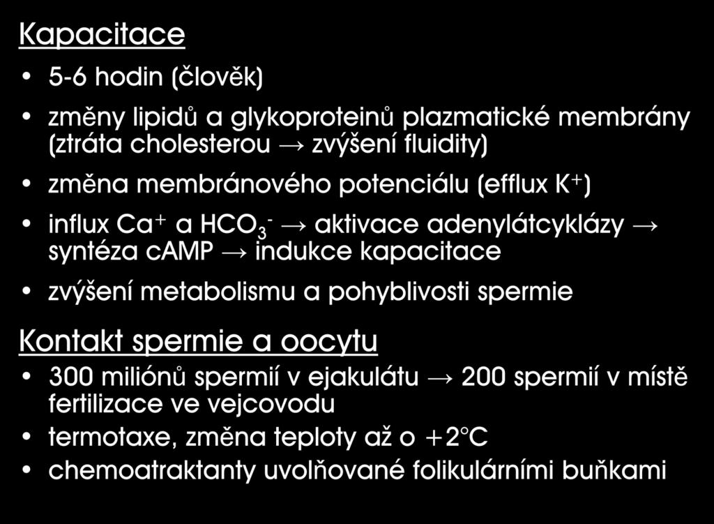 Kapacitace 5-6 hodin (člověk) změny lipidů a glykoproteinů plazmatické membrány (ztráta cholesterou zvýšení fluidity) změna membránového potenciálu (efflux K + ) influx Ca + a HCO 3 - aktivace