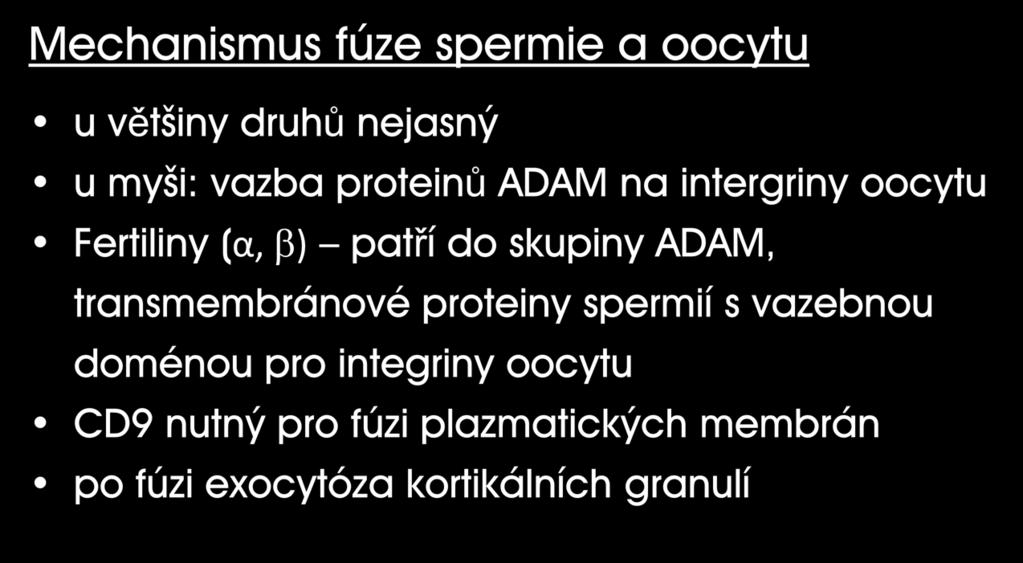 Mechanismus fúze spermie a oocytu u většiny druhů nejasný u myši: vazba