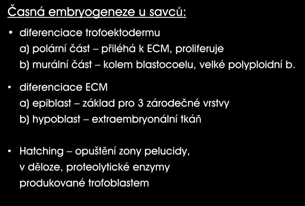 Časná embryogeneze u savců: diferenciace trofoektodermu a) polární část přiléhá k