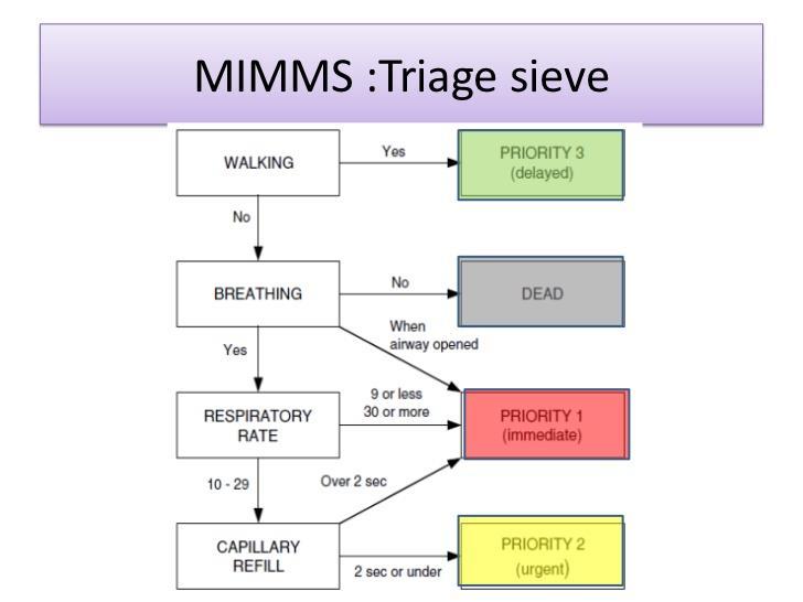 Příloha 12: Triage Sieve Zdroj: http://www.slideshare.