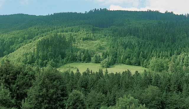 GEOLOGIE Území zaujímá spodní ãást severov chodnû orientovan ch svahû jedné z rozsoch Lysé hory Luk ince. Je to oblast stfiední ãásti v voje vlastních godulsk ch vrstev.