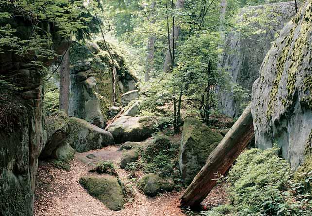 CHKO Beskydy Národní pfiírodní rezervace GEOLOGIE Ojedinûl v choz tfietihorních (paleogenních) hrubû zrnit ch pískovcû a drobnozrn ch slepencû svrchních vrstev soláàsk ch, vypreparovan ch kvartérní