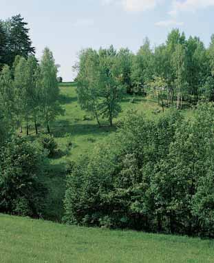 GEOLOGIE Oblast plo nû rozsáhlého pásma v voje zlínsk ch vrstev magurského fly e.