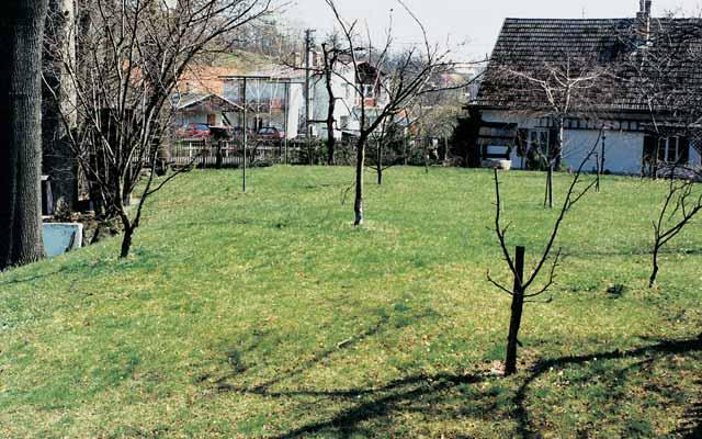 PÛdní pokryv tvofií fluvizemû. KVùTENA Pravidelnû kosen trávník, ve kterém pod koru- Malá zahrada u rodinného domku byla vyhlá ena jako jedno z prvních beskydsk ch chránûn ch území.
