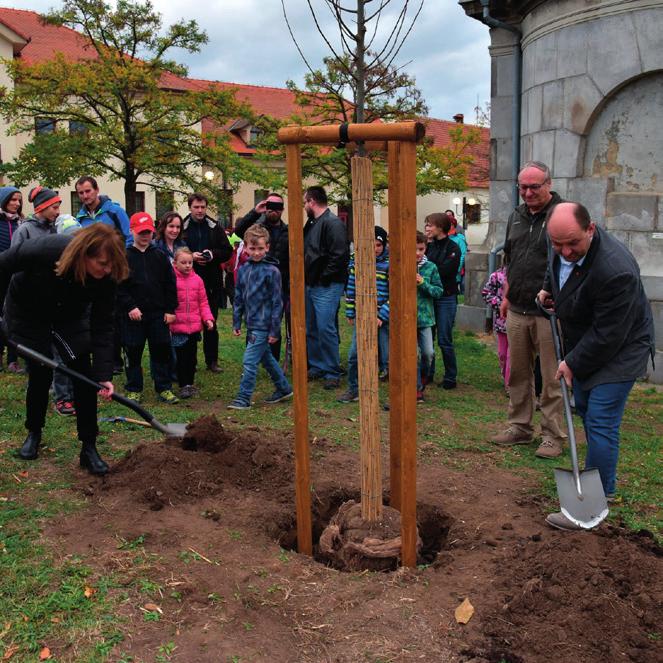 2 Zpravodaj /208 www.mesto-modrice.cz 3 Obsah o Obsah Zprávy z radnice Usnesení RMM č.