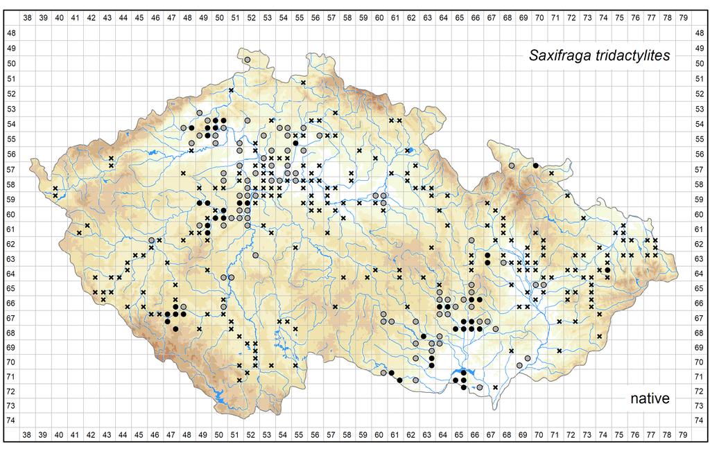 Distribution of Saxifraga tridactylites in the Czech Republic Author of the map: Michal Ducháček, Petr Kocián Map produced on: 16-10-2017 Database records used for producing the distribution map of