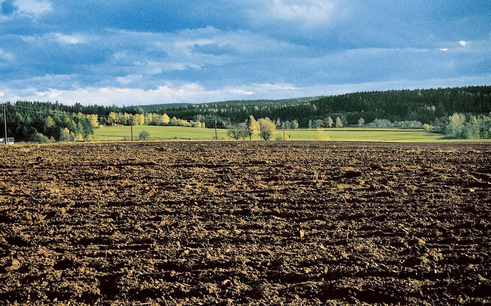 GEOLOGIE Nejvût í ãást pfiírodní památky budují proterozoické leukokrátní biotitické migmatity, místy s muskovitem a migmatitizovan mi cordierit- -biotitick mi rulami.