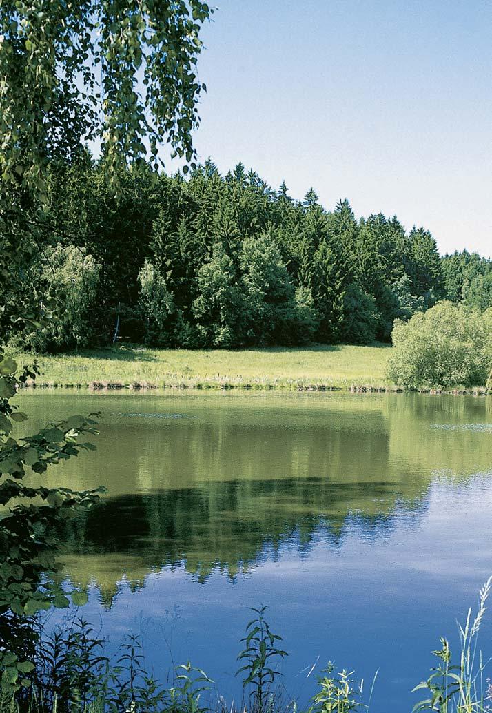 Okres Îìár nad Sázavou KVùTENA Mokfiadní louky odpovídají sv m charakterem vysokobylinn m spoleãenstvûm svazu Calthion. Z charakteristick ch druhû zde rostou napfi.