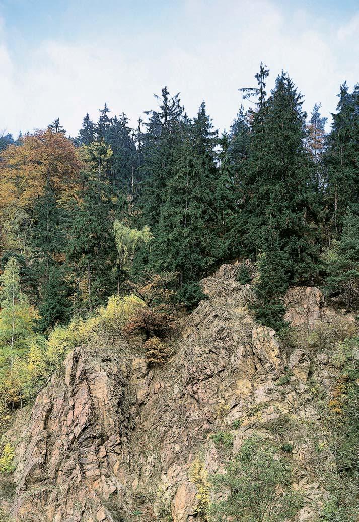 GEOLOGIE Podklad tvofií proterozoické horniny svrateckého krystalinika. Jedná se o dvojslídné svory stfiednû aï hrubû lepidoblastické s granáty, stfiídající se s dvojslídn mi migmatity aï ortorulami.