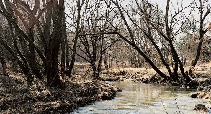Okres Îìár nad Sázavou park Balinské údolí Vyhlá en Okresním národním v borem ve Îìáfie nad Sázavou v roce 984 jako oblast klidu.