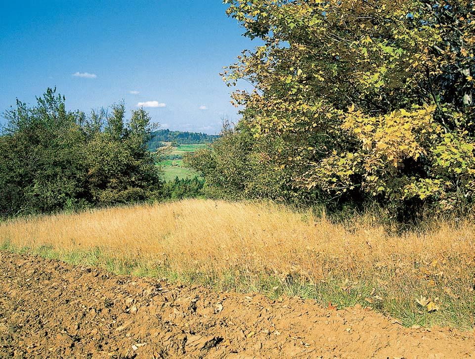 GEOLOGIE PodloÏí je tvofieno proterozoick mi horninami moravika svratecké klenby.