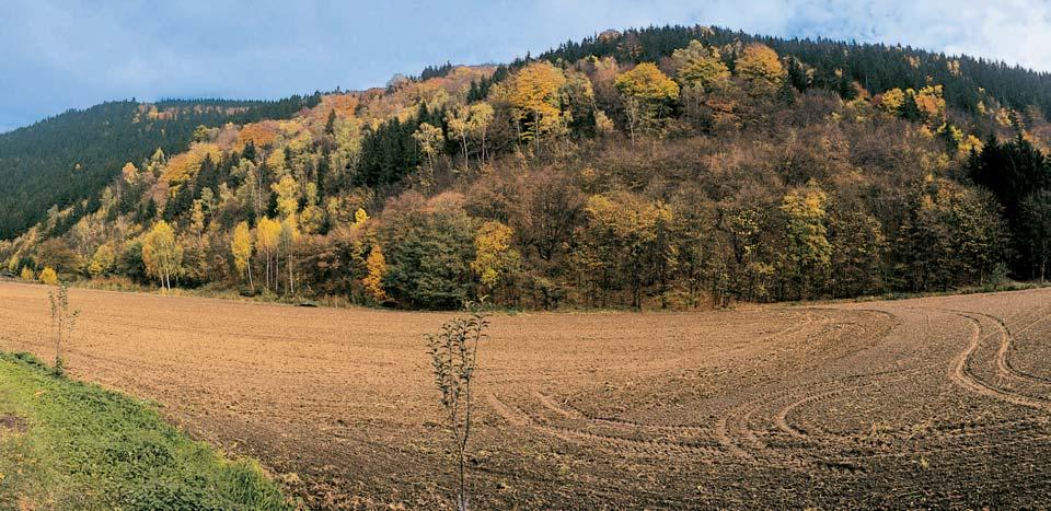 GEOLOGIE PodloÏí tvofií pfiemûnûné horniny proterozoického stáfií.