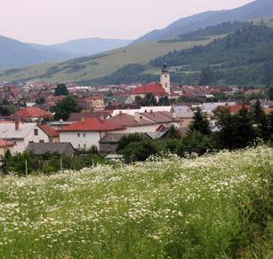 premietacím plátnom, bazén s rozmermi 18 x 8m, hĺbka 130 cm.