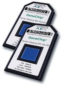 5.1.2 Struktura čipu Ačkoliv existuje několik druhů čipů GeneChip, všechny pracují na společném základním principu.