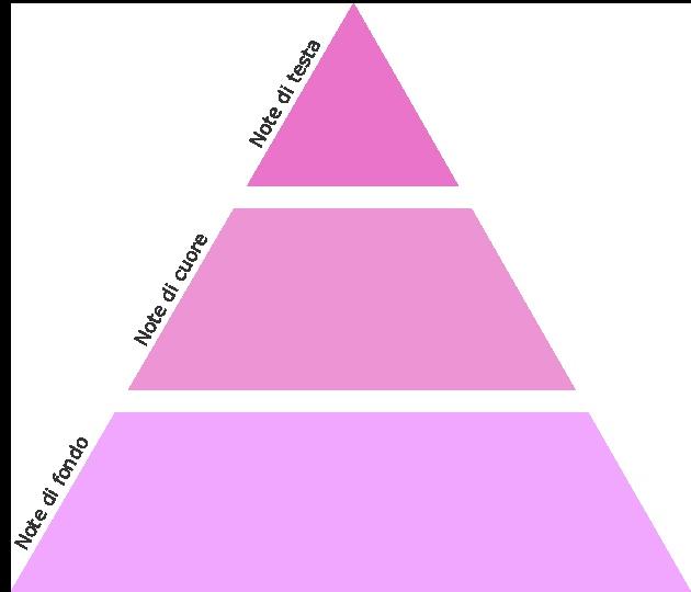 VONNÁ PYRAMIDA Čichové vnímání vůně je vyjadřováno prostřednictvím čichové pyramidy.