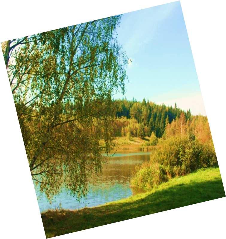 DOLNÍ RADÍKOV Dolní Radíkov je malá vesnička uprostřed nádherné přírody s hlubokými lesy a čistými rybníky.