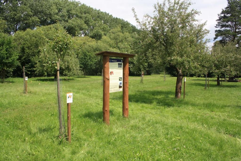 Genofondový sad ovocných dřevin Opavska ve Lhotě u Háje ve Slezsku 28 stromů jabloní a hrušní výběr starých a krajových odrůd