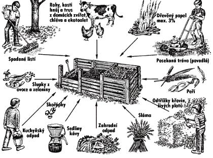 jak na kompost - co