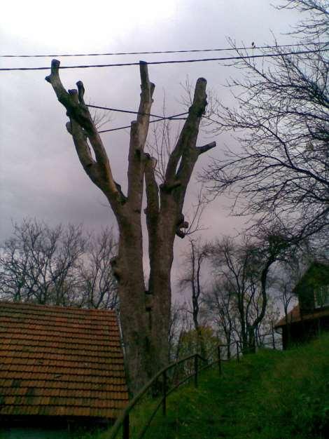 NÁVRH: Ostatní limity: veřejnost a občanské