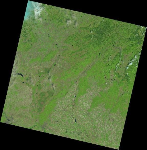 Satelitní snímky Interpretované snímky Landsatu 8 (Sentinel 2) NDVI