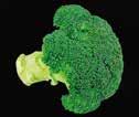 BROKOLICOVÁ POLIEVKA S CÍCEROM 500 g cíceru 250 g brokolice 3 strúčiky cesnaku 1,5 l zeleninového vývaru soľ, korenie smotana na varenie Najskôr namočíme cícer do vody a necháme ho najlepšie 24 hodín