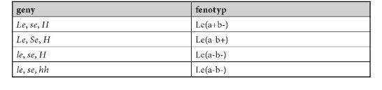 2.14 Skupinový systém Landsteiner-Wiener (LW) Je tvořený protikladnými antigeny LW a a LW b. Anti-LW ab reaguje se všemi červenými krvinkami s výjimkou těch velmi vzácných fenotypů.