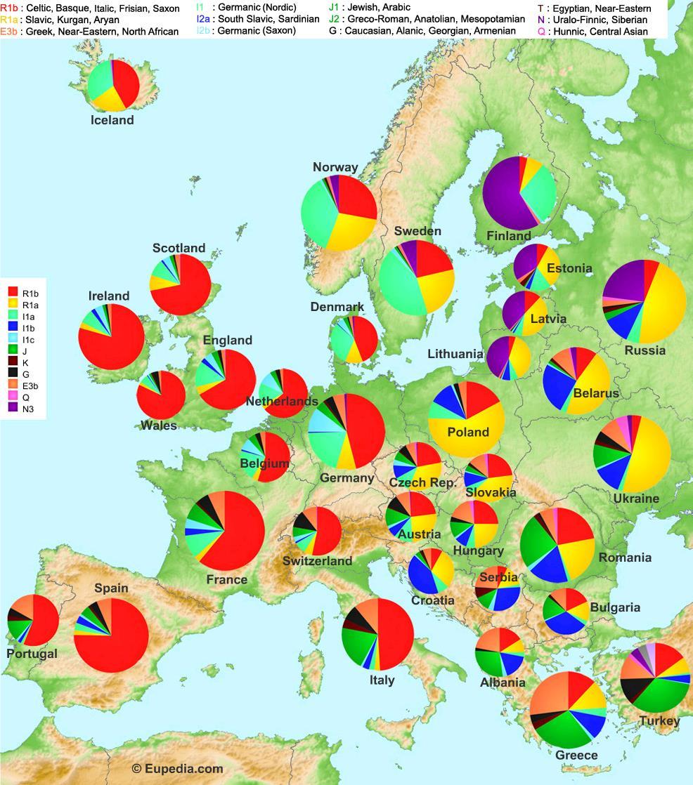 Obrázek 3: Genetická mapa Evropy [22] Verifikační data Pro vývoj metody byly použity dva soubory genotypových dat. První soubor je od 74 dárců.