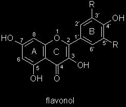 Flavonoly Kvercetin 5, 7, 3, 4 -OH Rutin: kvercetin-3-rh- gl Hyperosid: kvercetin 3-gal Isokvercitrin: kvercetin 3-gl Kempferol 5,