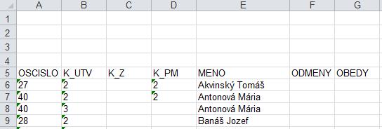 Ak sa niektoré z políčok pre kód útvaru (strediska, zákazky, pracovného miesta) vyplní, v predpripravenom xlsx súbore sa vytvoria stĺpce pre zadanie kódu útvaru (zákazky, pracovného miesta).
