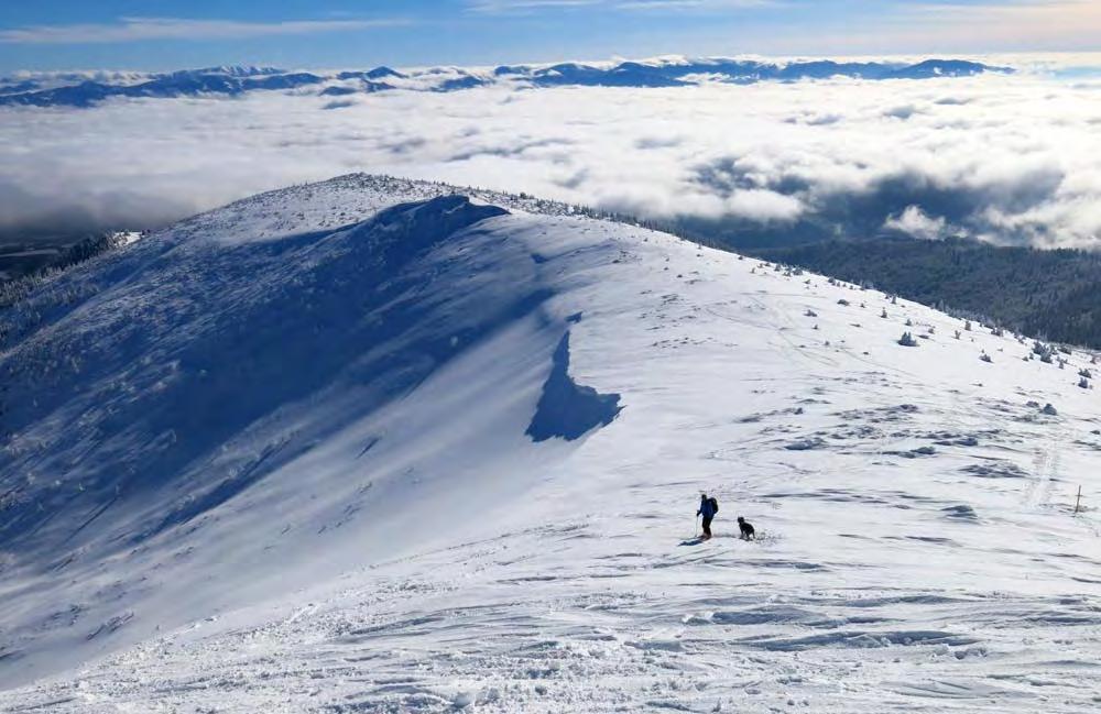 VENDOVKA KLUB SUČIANSKYCH TURISTOV www.skialp4u.