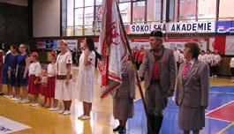 Jedno bylo v rámci Sokolského Brna začátkem měsíce června a druhé koncem měsíce června v Plzni, kdy Plzeň byla Evropské město kultury a do svého programu zahrnula i sokolská vystoupení.