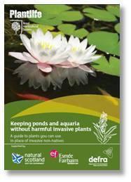 Landscaping without harmful invasive plants Keeping ponds