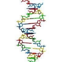 přítomna DNA pomocí qpcr 1.2 1 0.8 0.6 13 C DNA 0.
