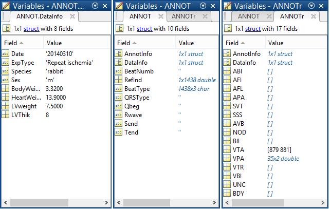 Obr. 8 Ukázky vytvořené anotace. Vlevo - podstruktura struktury ANNOT DataInfo, uprostřed - struktura ANNOT, vpravo - struktura ANNOTr.