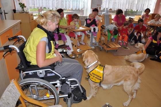 Jeho úkolem bude zklidnit a polohovat svého páníčka, což jsou základní prvky