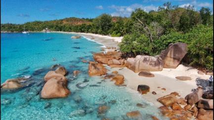 20. ÚNORA 2019: STŘEDA SEYCHELY: MAHÉ/VOLNÝ DEN Volný den k relaxaci na Seychelách 13:00 hod vyplutí ze Seychel 21. ÚNORA 2019: ČTVRTEK PLAVBA Celodenní plavba Indickým oceánem 22.